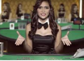 威廉体育2024最新版